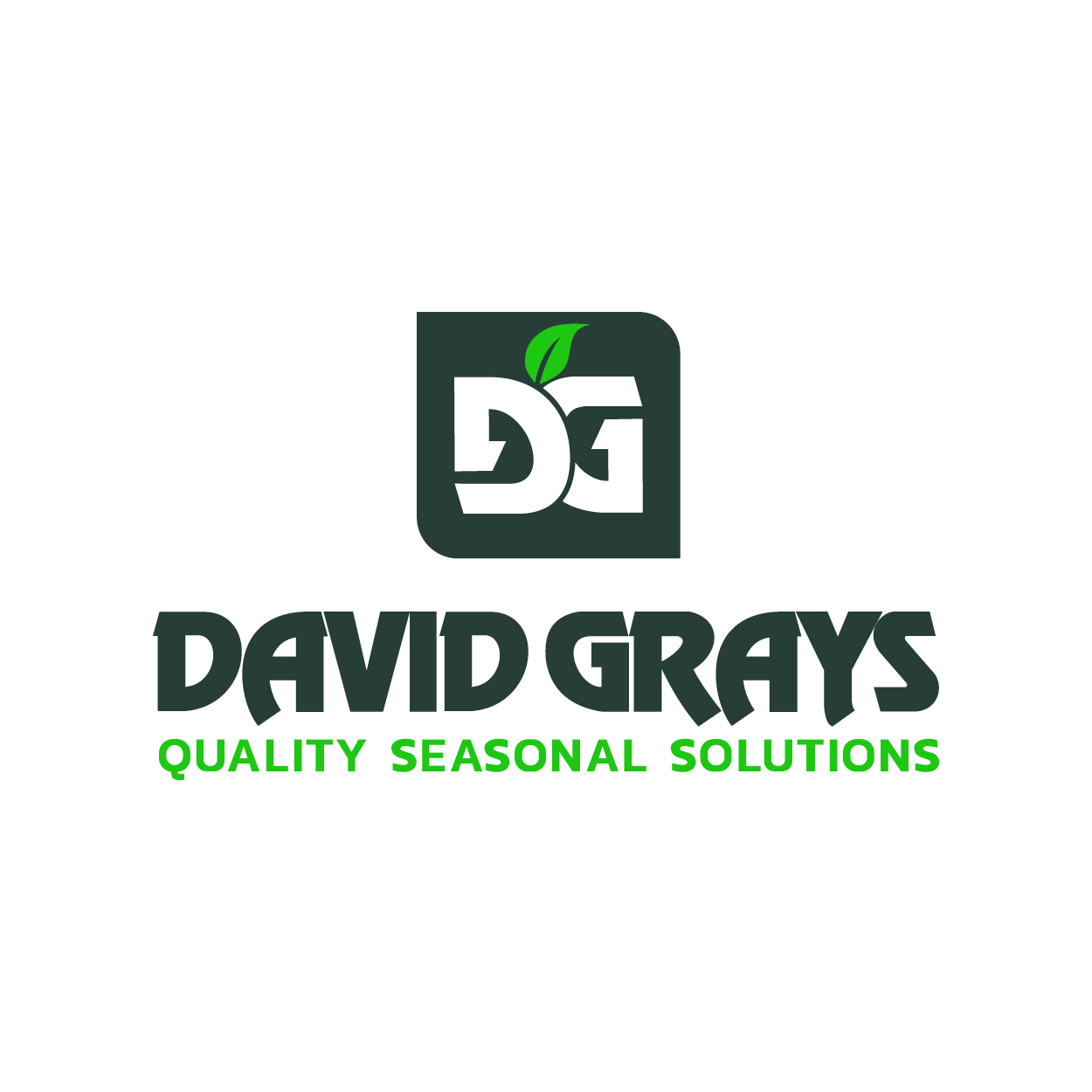 David Grays